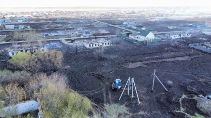За лесные пожары ответит мэр города, он задержан